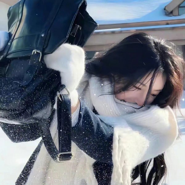 巴黎合伙人海报