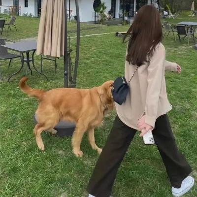 中央公园第一季海报